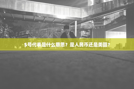 $号代表是什么意思？是人民币还是美圆？
