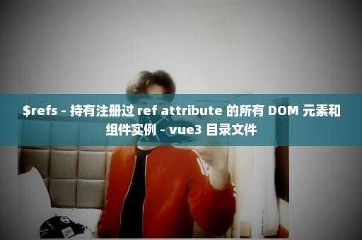 $refs - 持有注册过 ref attribute 的所有 DOM 元素和组件实例 - vue3 目录文件