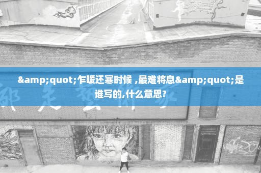 "乍暖还寒时候 ,最难将息"是谁写的,什么意思?