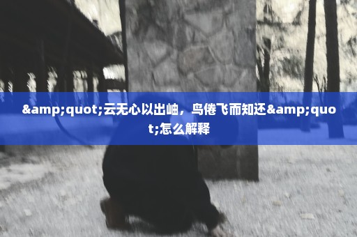 "云无心以出岫，鸟倦飞而知还"怎么解释
