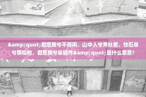 "君思我兮不得闲，山中人兮芳杜若，饮石泉兮荫松柏，君思我兮染疑作"是什么意思?