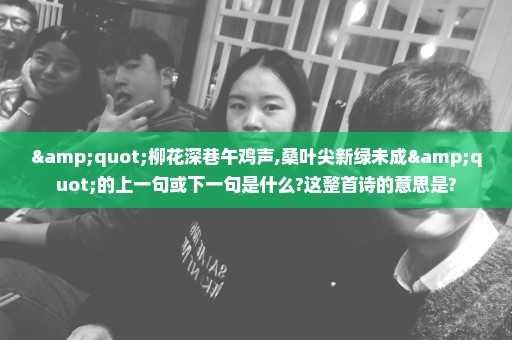 "柳花深巷午鸡声,桑叶尖新绿未成"的上一句或下一句是什么?这整首诗的意思是?