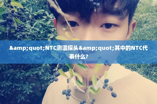 "NTC测温探头"其中的NTC代表什么?