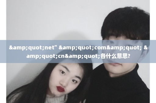 "net'' "com" "cn"各什么意思?