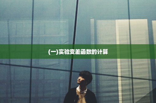 (一)实验变差函数的计算