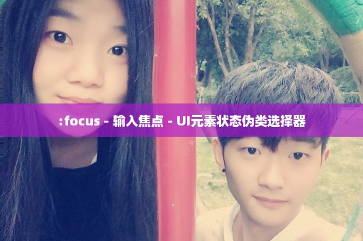 :focus - 输入焦点 - UI元素状态伪类选择器