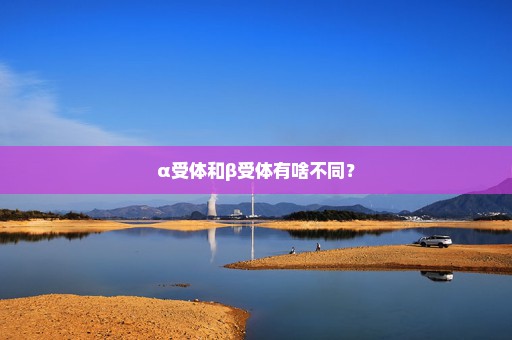 α受体和β受体有啥不同？
