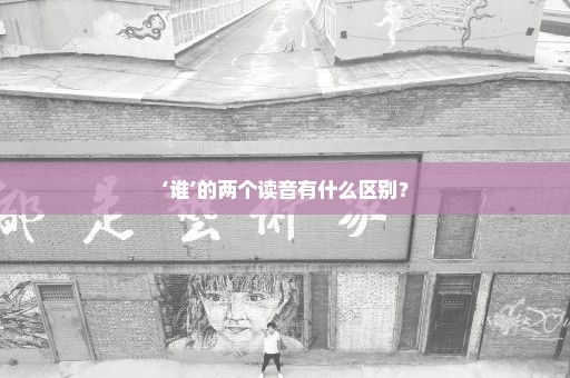‘谁’的两个读音有什么区别？