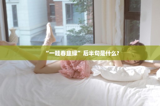 “一畦春韭绿”后半句是什么?