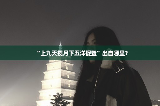 “上九天揽月下五洋捉鳖”出自哪里？