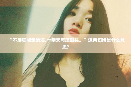 “不尽狂澜走沧海,一拳天与压潮头。”这两句诗是什么意思?