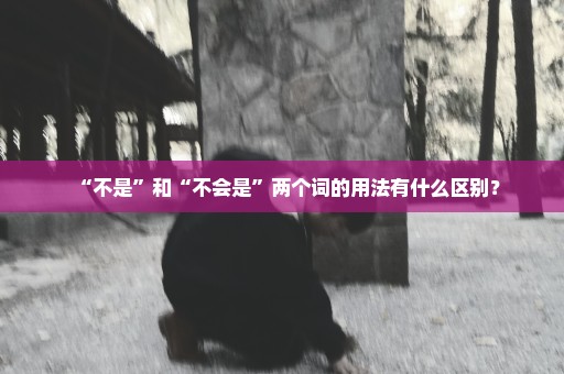 “不是”和“不会是”两个词的用法有什么区别？