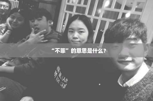 “不菲”的意思是什么？