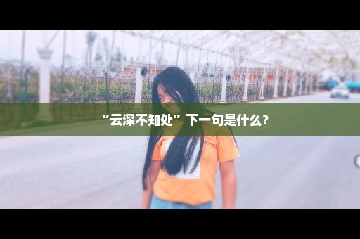 “云深不知处”下一句是什么？