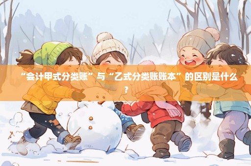 “会计甲式分类账”与“乙式分类账账本”的区别是什么？