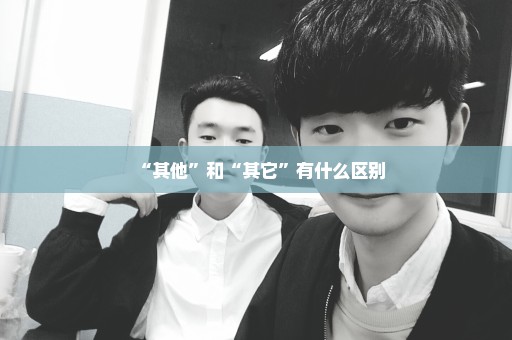 “其他”和“其它”有什么区别