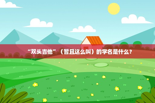 “双头吉他”（暂且这么叫）的学名是什么？