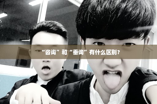 “咨询”和“垂询”有什么区别？