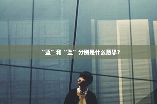“堕”和“坠”分别是什么意思？