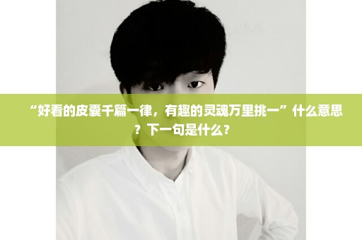 “好看的皮囊千篇一律，有趣的灵魂万里挑一”什么意思？下一句是什么？