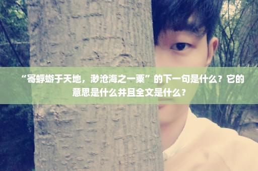 “寄蜉蝣于天地，渺沧海之一粟”的下一句是什么？它的意思是什么并且全文是什么？
