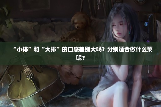 “小排”和“大排”的口感差别大吗？分别适合做什么菜呢？