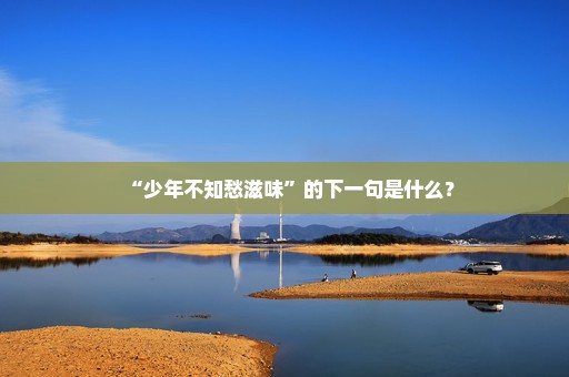 “少年不知愁滋味”的下一句是什么？