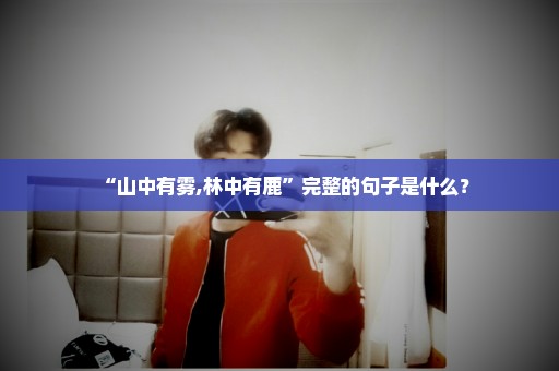 “山中有雾,林中有鹿”完整的句子是什么？