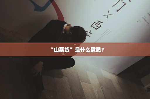 “山寨货”是什么意思？
