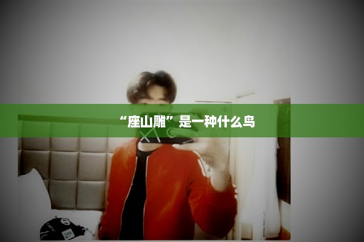 “座山雕”是一种什么鸟