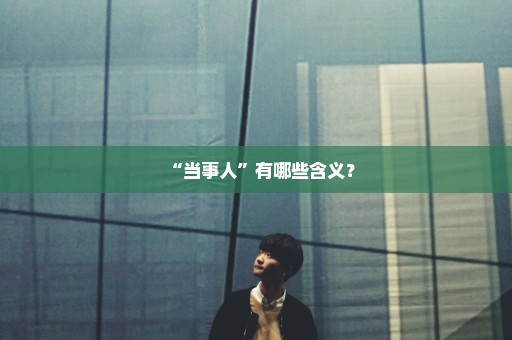 “当事人”有哪些含义？