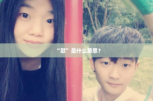 “怼”是什么意思？