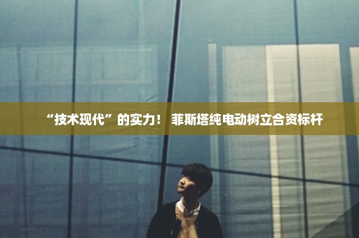 “技术现代”的实力！ 菲斯塔纯电动树立合资标杆