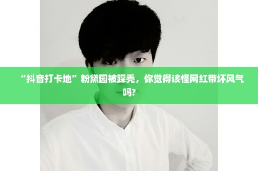 “抖音打卡地”粉黛园被踩秃，你觉得该怪网红带坏风气吗?