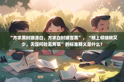 “方求黑时嫌漆白，方求白时嫌雪黑”，“枝上柳绵吹又少，天涯何处无芳草”的标准释义是什么？