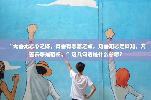 “无善无恶心之体，有善有恶意之动，知善知恶是良知，为善去恶是格物。”这几句话是什么意思？
