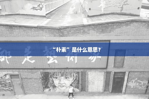 “朴素”是什么意思？