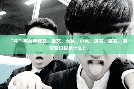 “牛”字从甲骨文、金文、大篆、小篆、隶书、草书…的演变过程是什么？