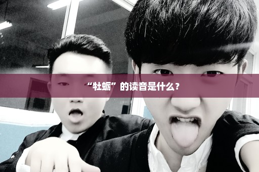 “牡蛎”的读音是什么？