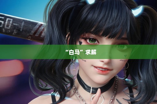 “白马”求解