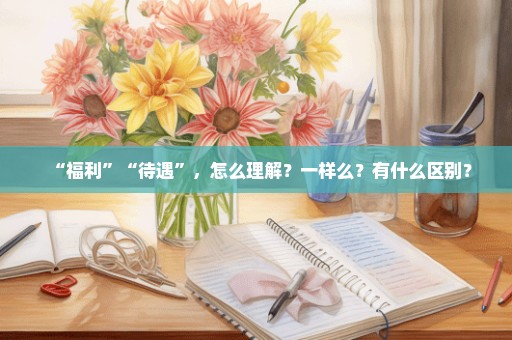 “福利”“待遇”，怎么理解？一样么？有什么区别？