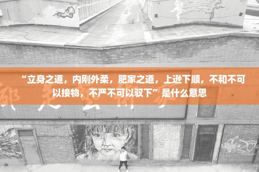 “立身之道，内刚外柔，肥家之道，上逊下顺，不和不可以接物，不严不可以驭下”是什么意思