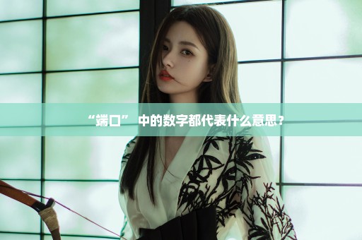 “端口” 中的数字都代表什么意思？