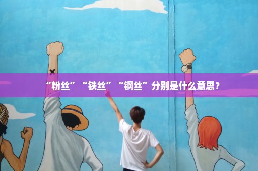 “粉丝”“铁丝”“钢丝”分别是什么意思？