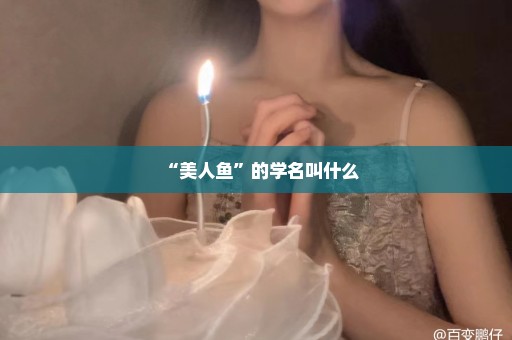 “美人鱼”的学名叫什么
