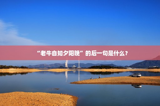 “老牛自知夕阳晚”的后一句是什么？