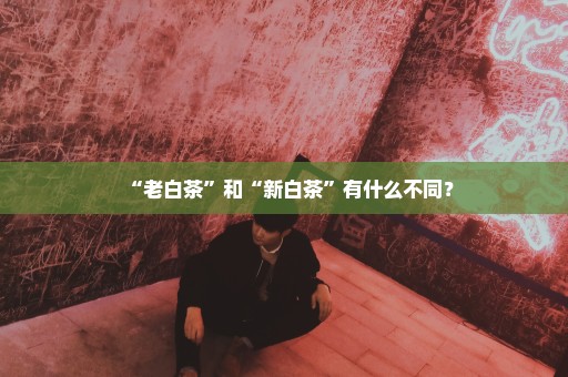 “老白茶”和“新白茶”有什么不同？