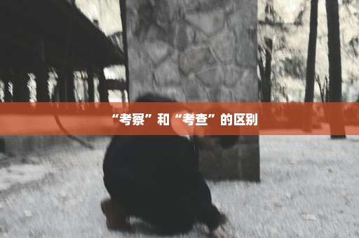 “考察”和“考查”的区别