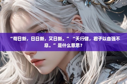 “苟日新，日日新，又日新。”“天行健，君子以自强不息。”是什么意思？