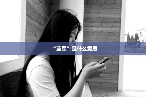 “蓝军”是什么意思